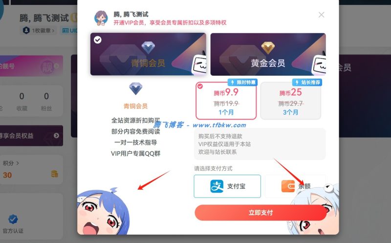 子比主题美化 – 会员购买弹窗增加背景-阿呆日记