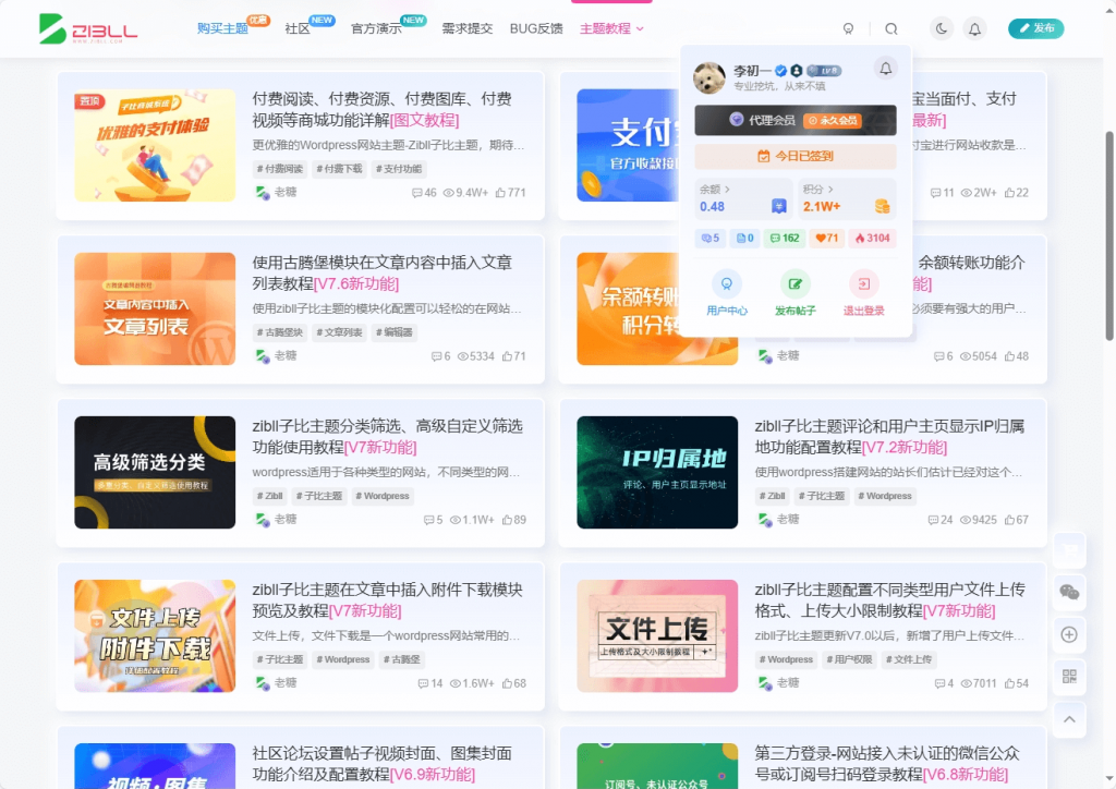 图片[1]-子比主题美化 – 拟态CSS-阿呆日记
